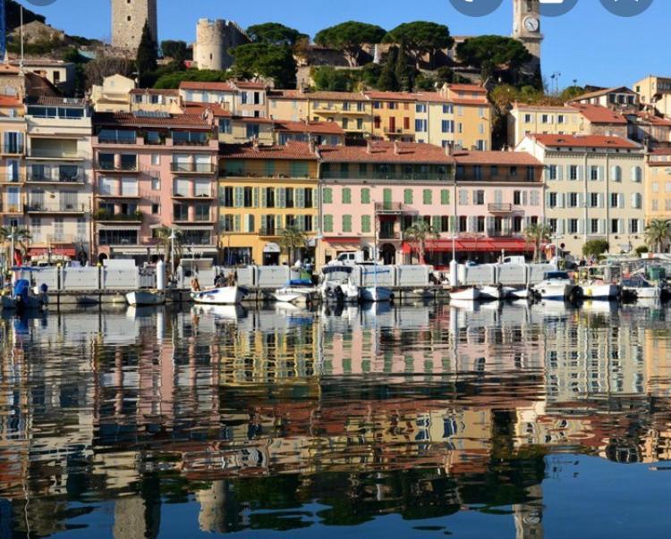 A Deux Pas Du Palais Des Festivals , Deux Pieces Dans Le Bas Du Quartier Historique Du Suquet A Cannes Apartment Luaran gambar